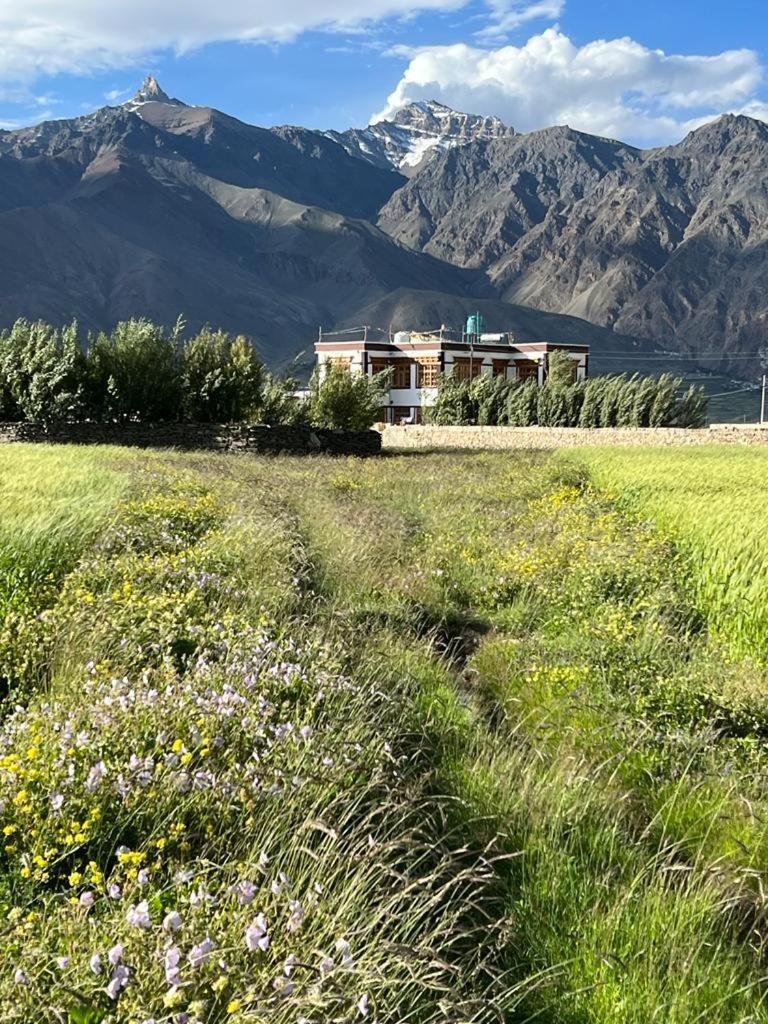 Guru View Home Stay Padam Esterno foto